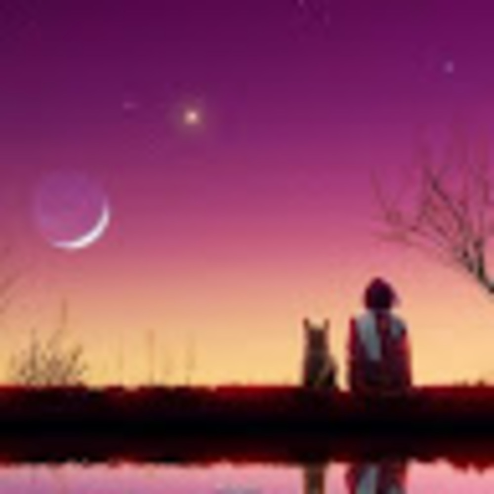 Meet your Posher, Ivelisse